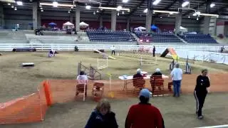 Thomas Open Standard Q Pendleton November 30 2013