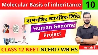 Molecular Basis of Inheritance 10 | Human Genome Project | in Bengali | Class 12th NEET Biology