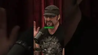 YOU MUST FAIL FIRST 😱 | JOE ROGAN x ROBERT RODRIGUEZ