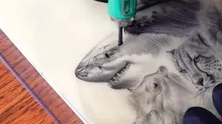 Tattoo tutorial (shark 🦈 77.9tattoo) 서울타투 seoultattoo 동물타투 animaltattoo