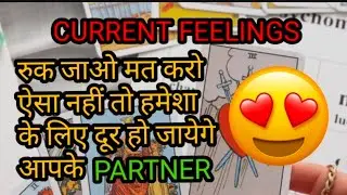Current feelings of your partner 🥰Tarot Card Reading in Hindi 😳Third Party Situation tarot reading