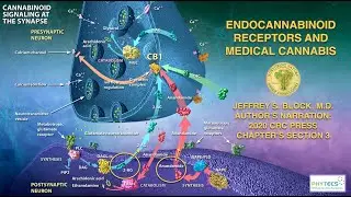 Section Three - The Cannabis Plant's Chemical Complexity