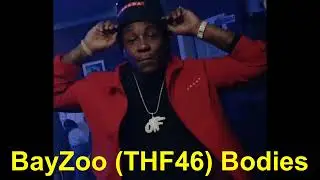 THF BayZoo (THF46) Bodies