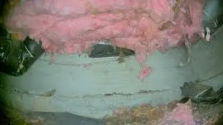 Crawlspace Castleberry Loop