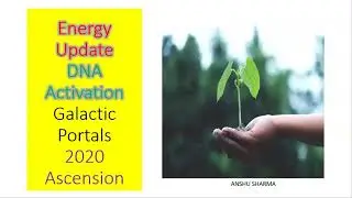 Germinating codes, Galactic portals, 2020 Ascension