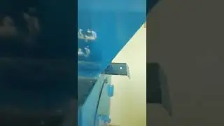 مصنع علف صغير للبيع مدشه خلاط مكبس 250 ك وحده تبريد  فى سوهاج 01065106121