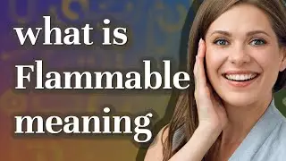 Flammable | meaning of Flammable