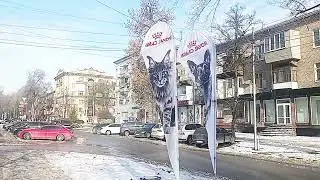 PEACEFUL STREET ZAPORIZHIA 💙 01/28/2026