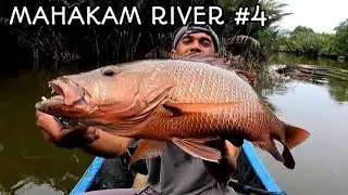 MAHAKAM RIVER #4 || MANCING CASTING DAN TROLLING DI SUNGAI MAHAKAM SAMARINDA