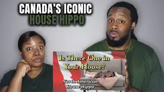 🇨🇦 American Couple Reacts to Canada&rsquo;s Iconic House Hippo