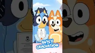 Bluey Graduation in Season 4! 💙 #bluey #SHORTS