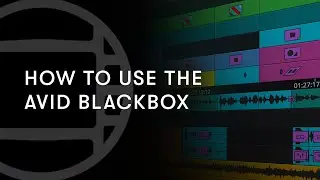 How to Use the Avid BlackBox