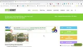Watermarking SDK for .NET Developers
