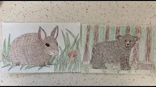 Drawing animals with texture