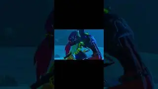 BEST EDIT I EVER MADE #legendofzelda #botw #urbosa #edit #music #dontflop