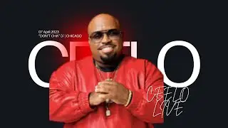 CeeLo Green Performs &ldquo;Don&rsquo;t Cha&rdquo; Live | Art Beats & Lyrics Chicago 2023 🔥#shorts