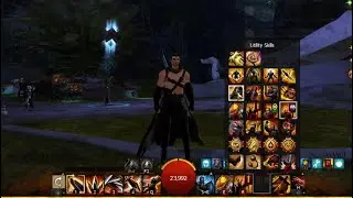 BLIZZARD Copying GW2 