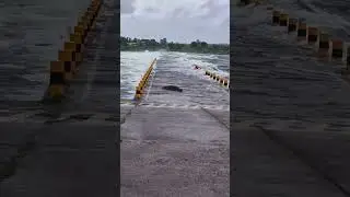 Just Monsoon Things in Kota Rajasthan #monsoon #rain #flood #crocodile #chambal #kota #rajsthan