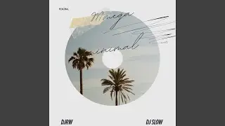 MEGA MINIMAL
