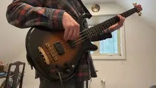 1980 Veillette Citron Bass