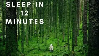 Nature Sleep Music || Beautiful Sleep Music || Best Music For Sleep