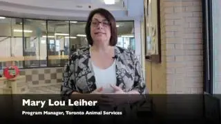 Toronto Animal Services on: COYOTES