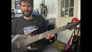 Solar A1.8C, my most reliable 8-string