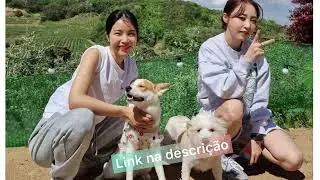 [PT-BR] Moonbyul e Solar - Sobre Pet ~ Ep 4