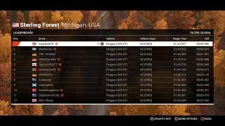 DiRT 4 World Record #9 - Sterling Forest Peugeot 205 Rally - 1:43.027