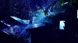 Beat Insomnia to Sleep Well with Torrential Rain, Insect Sounds and Rolling Thunder on a Metal Roof