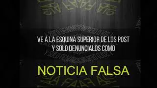 asovape presentacion