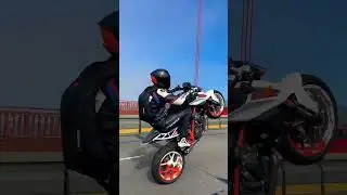 Golden Gate Wheelie