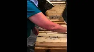 transfer to KTBH.MOV