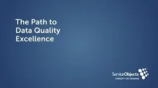 The Path to Data Quality Excellence