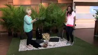 How to throw an impromptu picnic