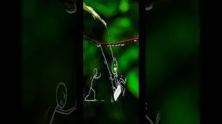 creative photography click tips and tricks vivo V50 mobile #nature #creative #edit #tips