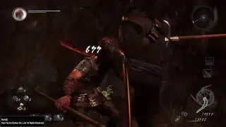 Nioh montage