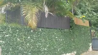 Driving Through Cherry Gardens | Jamaica