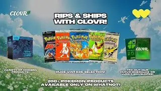 CHARIZARD HUNT WITH CLOVR!!! CHECK OUT OUR  LIVE SHOP ON WHATNOT!