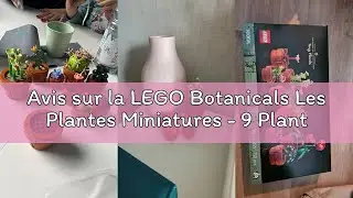 Avis sur la LEGO Botanicals Les Plantes Miniatures - 9 Plantes artificielles Dont Cactus &agrave; Construir