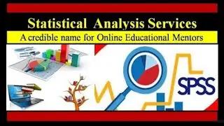 SSwriters.org: Services related to data analysis on the SPSS