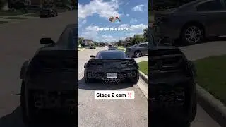 C7 Zo6 with a stage 2 cam chopping good🪵 #corvette #chevy #cammed
