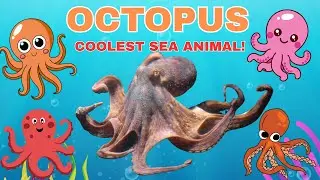 Amazing Octopus Facts for Kids! 🐙 Why the Octopus is the Coolest Sea Animal Ever! Fun Ocean Learning