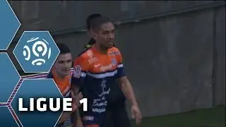 Goal Joris MARVEAUX (29') - Stade de Reims-Montpellier H&eacute;rault SC (2-4) - 01/02/14 - (SdR-MHSC)