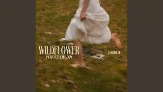 Mountain Man (Pickin&rsquo; in the Meadow)