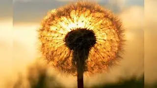 Nel fluir di luce e colori