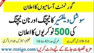 Social Welfare jobs 2019 - teaching and non-teaching (500 Post )