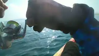 Catching sheri fish
