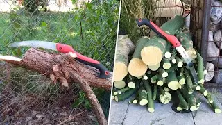 Best Hand Saw &ndash; An Extensive Guide!