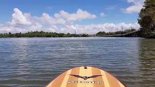 Orakei Basin